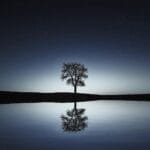 Estruturas de Dados: Árvores Binárias na Engenharia de Software